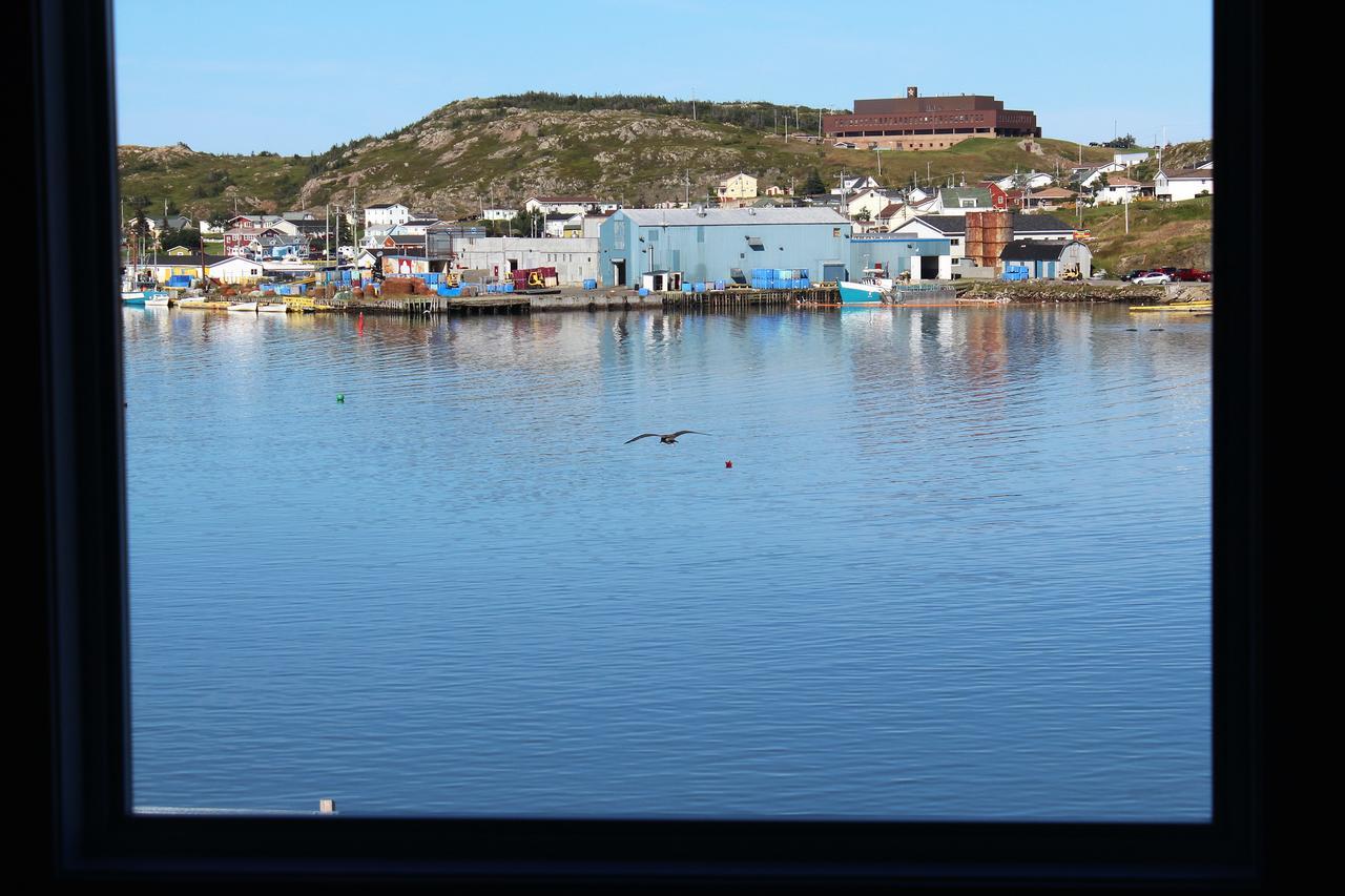 Hôtel Twillingate & Beyond Inc. Extérieur photo